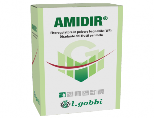 AMIDIR